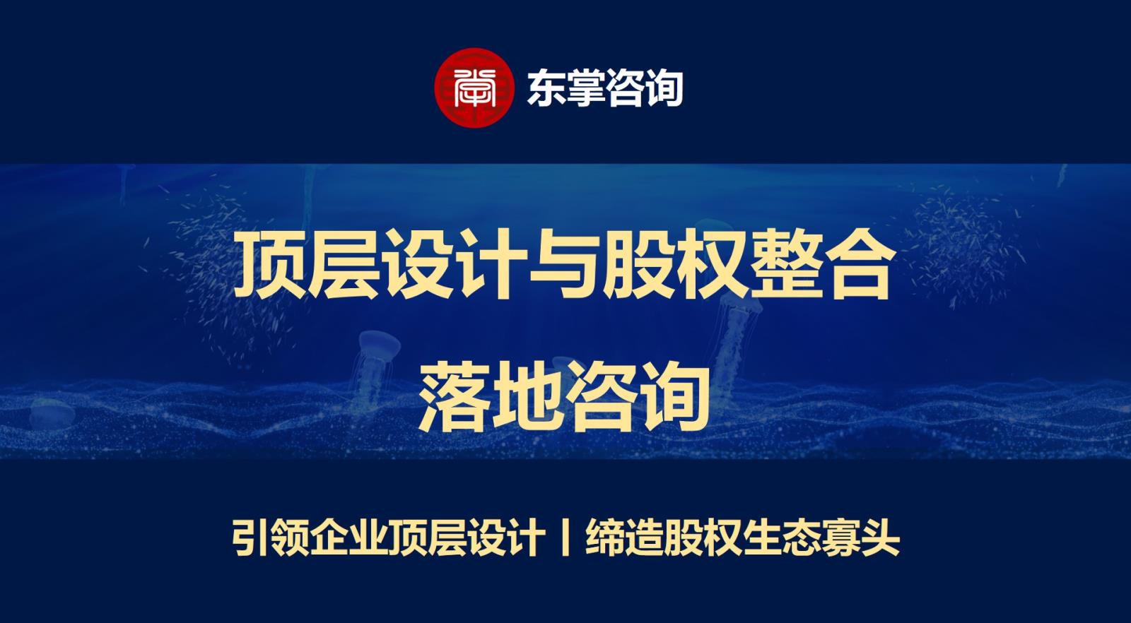 东掌咨询-企业顶层设计-股权架构设计咨询 东掌咨询-企业顶层设计-股权架构设计咨询